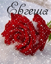 Открытка открытки с именем Евгения  - Красная роза в снегу: Открытка с праздничным настроением | Красивая открытка #14