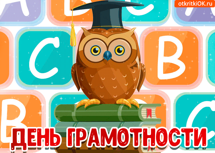 Открытка С днем грамотности - Открытка с совой в шапке: День знаний, 1 сентября | Красивая открытка #2