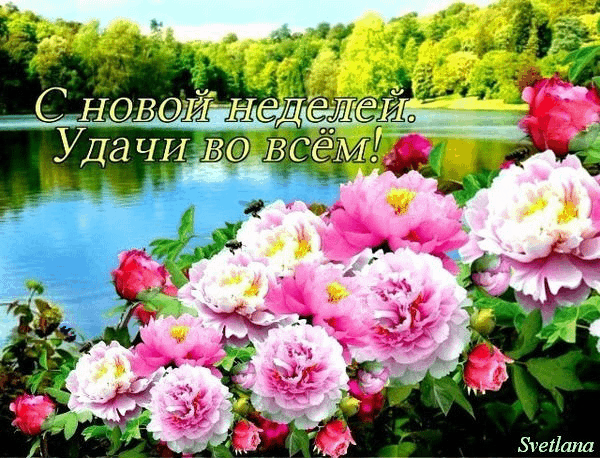 Открытка Открытки желаю удачи - Открытка: Цветы и река | Красивая открытка #186