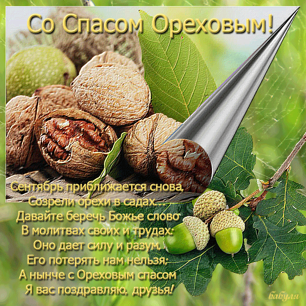Открытка Ореховый спас - Открытка с орехами: поздравления и пожелания | Красивая открытка #120