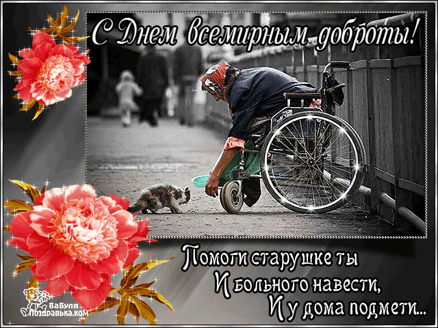 Открытка Открытки с днем доброты - Открытка: Пожилой мужчина на инвалидной коляске кормит кошку. | Красивая открытка #31