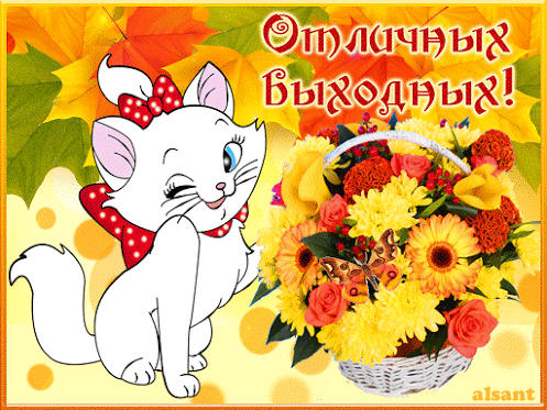 Открытка Открытки хороших выходных - Открытка с белой кошкой и цветами | Красивая открытка #7