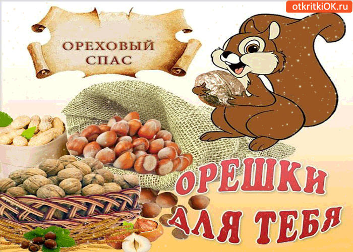 Открытка Ореховый спас - Открытка с белкой и орехами  С Днём знаний  Оригинально | Красивая открытка #38