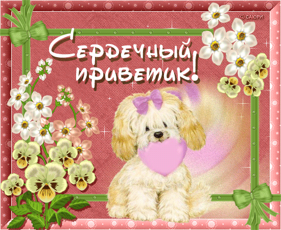 Открытка Привет - Открытка с щенком и цветами | Красивая открытка #140