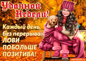 Открытка Открытки удачной недели - Девушка и собака на фоне осеннего леса. Открытка. | Красивая открытка #222
