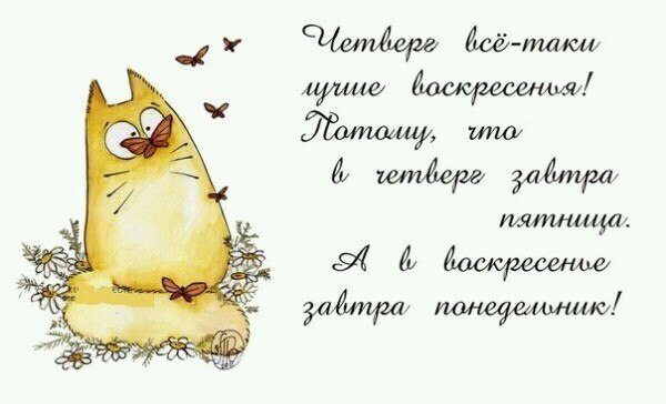 Открытка открытки с пожеланиями хорошего четверга  - Открытка с милым котом и цветами | Красивая открытка #2