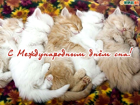 Открытка Открытки на Всемирный день сна - С Днём сна: Милые котята спят в обнимку | Красивая открытка #11