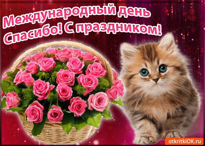 Открытка День спасибо - Открытка с котенком и цветами: Симпатичная поздравление | Красивая открытка #39