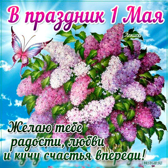 Открытка 1 мая - Желаю радости, любви и чуда | Красивая открытка #268