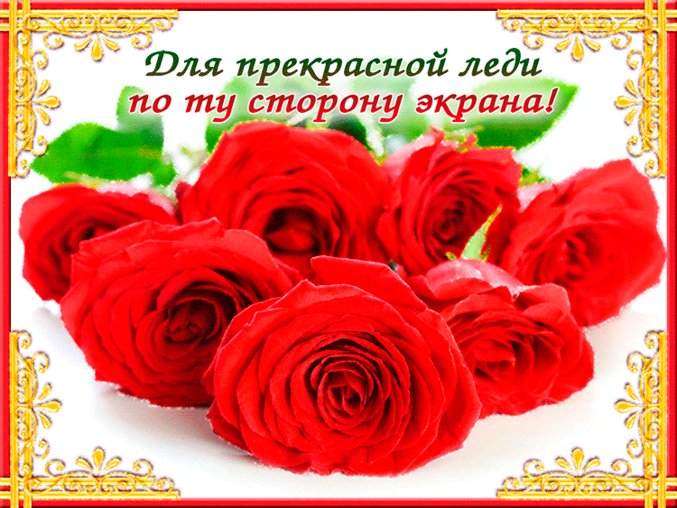 Открытка Открытки с цветами - Букет красных роз: открытка с цветами | Красивая открытка #53