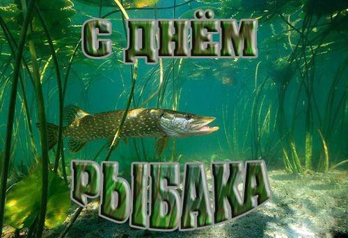 Открытка Открытки на Всемирный день рыболовства - Щука в воде: открытка с рыбой | Красивая открытка #40