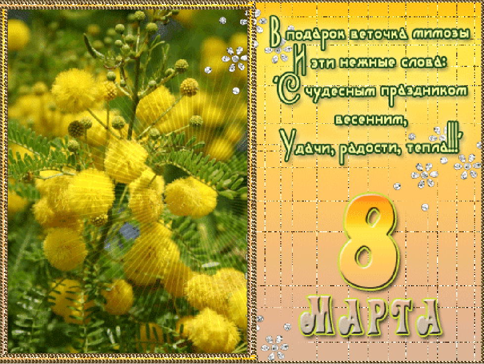 Открытка Открытки с 8 марта - С Днем 8 марта! Нежные цветы и весеннее настроение | Красивая открытка #21