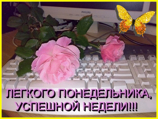 Открытка Открытки на понедельник - Розовые розы на клавиатуре - поздравительная открытка | Красивая открытка #99