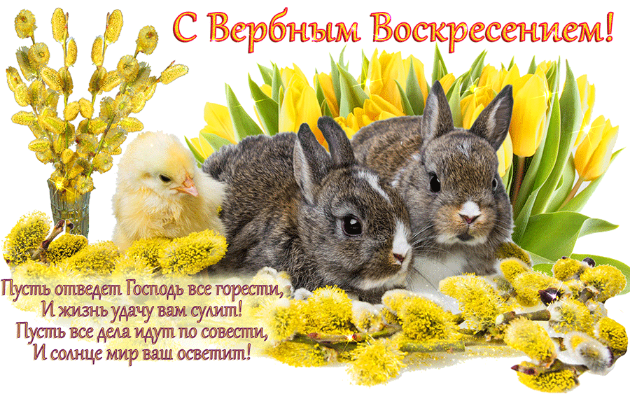 Открытка С вербным воскресеньем - Открытка с кроликами и вербой | Красивая открытка #97