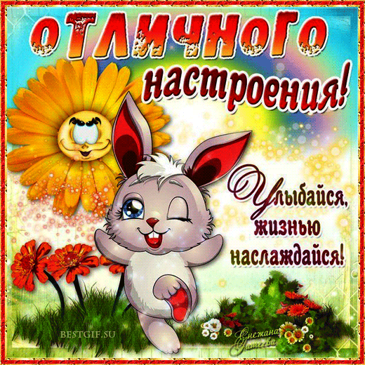 Открытка открытки с пожеланиями хорошего настроения  - Зайка с подсолнухом: Праздничная открытка с цветами | Красивая открытка #1