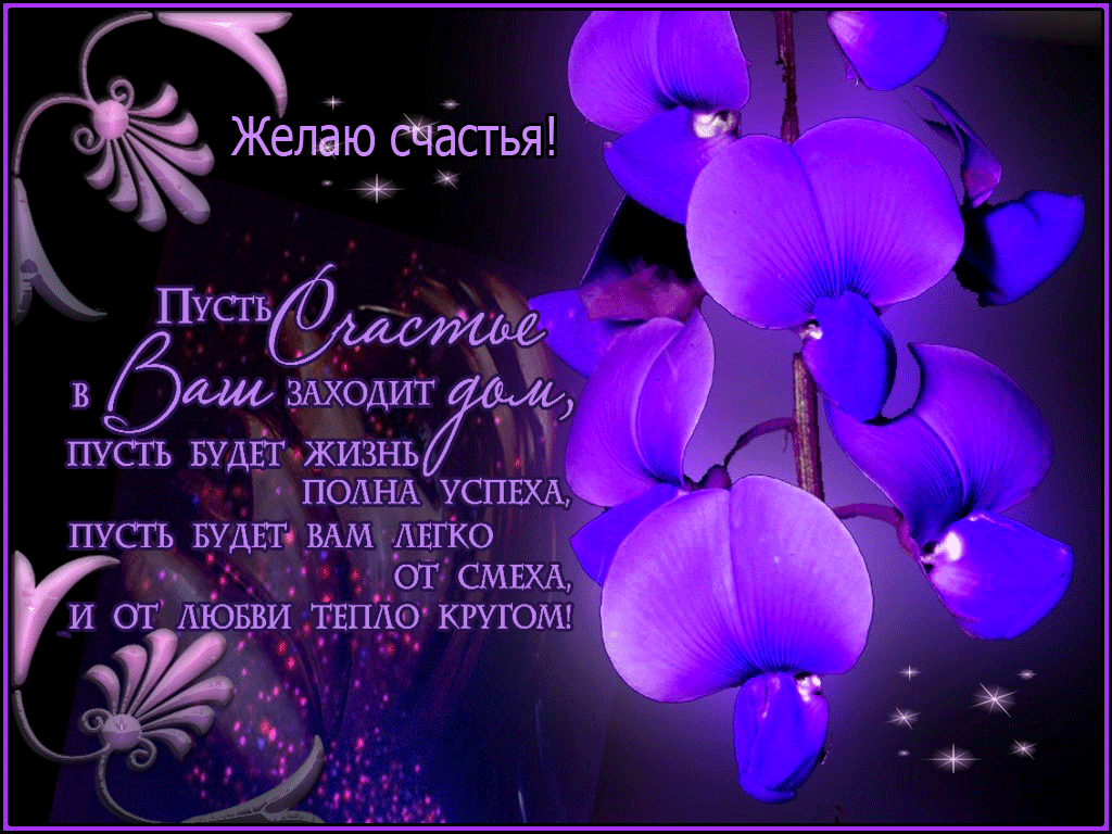 Открытка Желаю счастья - Открытка с фиалками: С днем рождения! | Красивая открытка #24