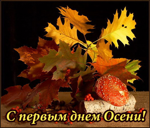 Открытка открытки с первым осенним днем  - С Днём Осени! Яркие листья и грибы | Красивая открытка #19