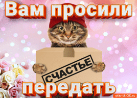 Открытка с днём счастья - Котик с открыткой «Счастье» — смешная открытка | Красивая открытка #33