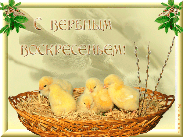 Открытка открытки с вербным воскресеньем  - Открытка с птенцами в плетёной корзине | Красивая открытка #150