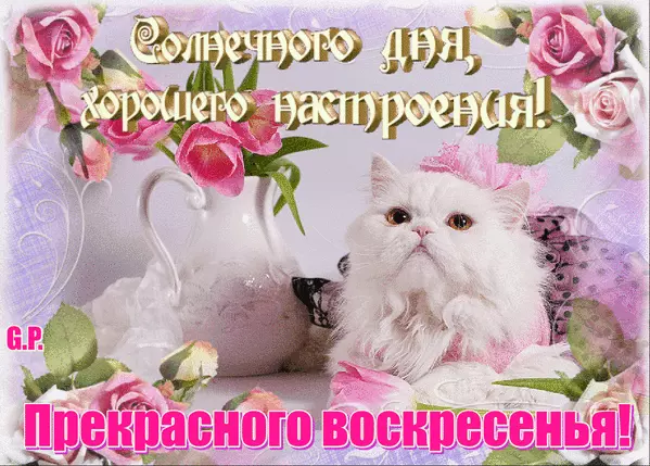 Открытка Выходные - Открытка с котенком и розами | Красивая открытка #95