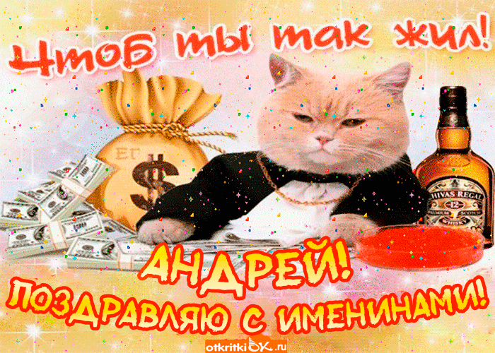 Открытка открытки с именем Андрей - Открытка с котом и деньгами: С Днем Рождения! | Красивая открытка #214