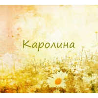 Открытка открытки с именем Каролина  - Поле ромашек: открытка с цветами | Красивая открытка #24