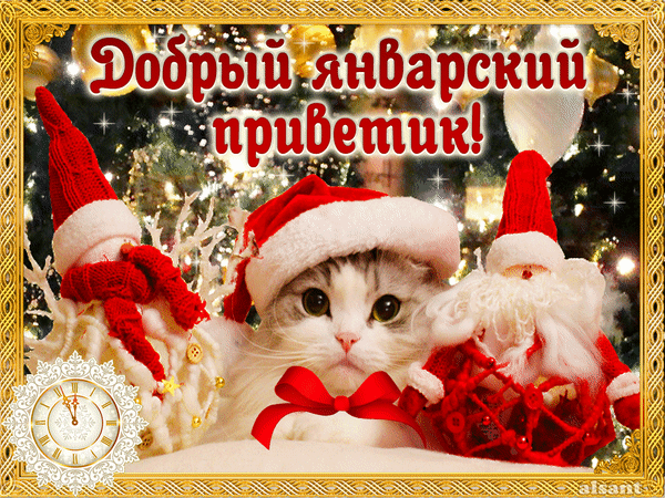 Открытка Январский - Котенок в шапке Деда Мороза - Новогодняя открытка | Красивая открытка #5