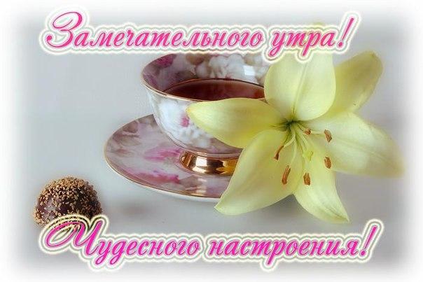 Открытка Доброе утро - Открытка: Чашка чая, лилия и конфетка | Красивая открытка #138