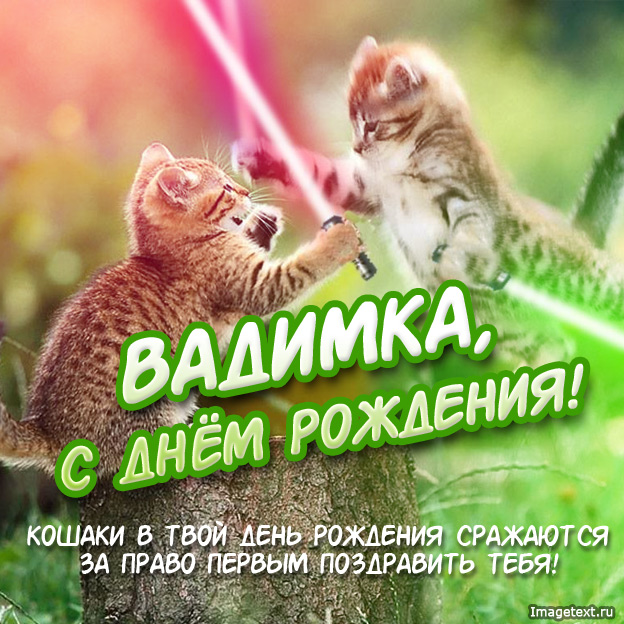Открытка открытки с именем Вадим - Открытка с котятами: С Днем Рождения! | Красивая открытка #254