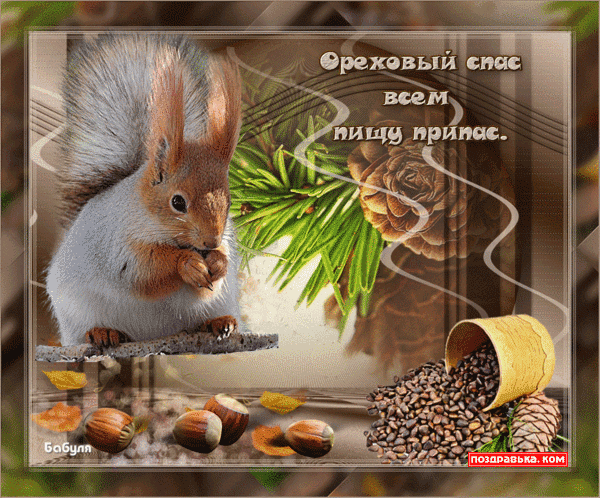 Открытка Открытки с Ореховым Спасом - Белка с орехами: праздничная открытка с лесным гостем | Красивая открытка #17