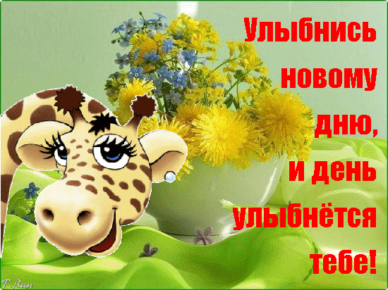 Открытка Улыбнись - Открытка с жирафом и цветами | Красивая открытка #141