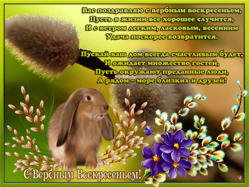 Открытка Вербное Воскресенье - С Вербным воскресеньем! | Красивая открытка #33