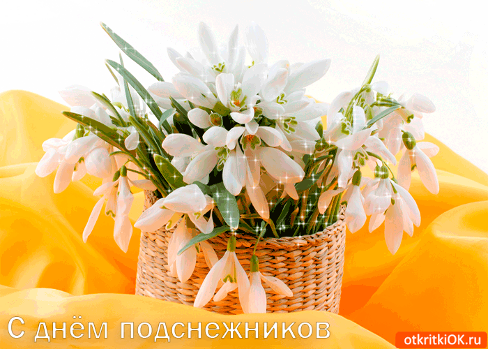 Открытка Открытки с днем подснежника - Открытка с подснежниками в плетёной корзине | Красивая открытка #12