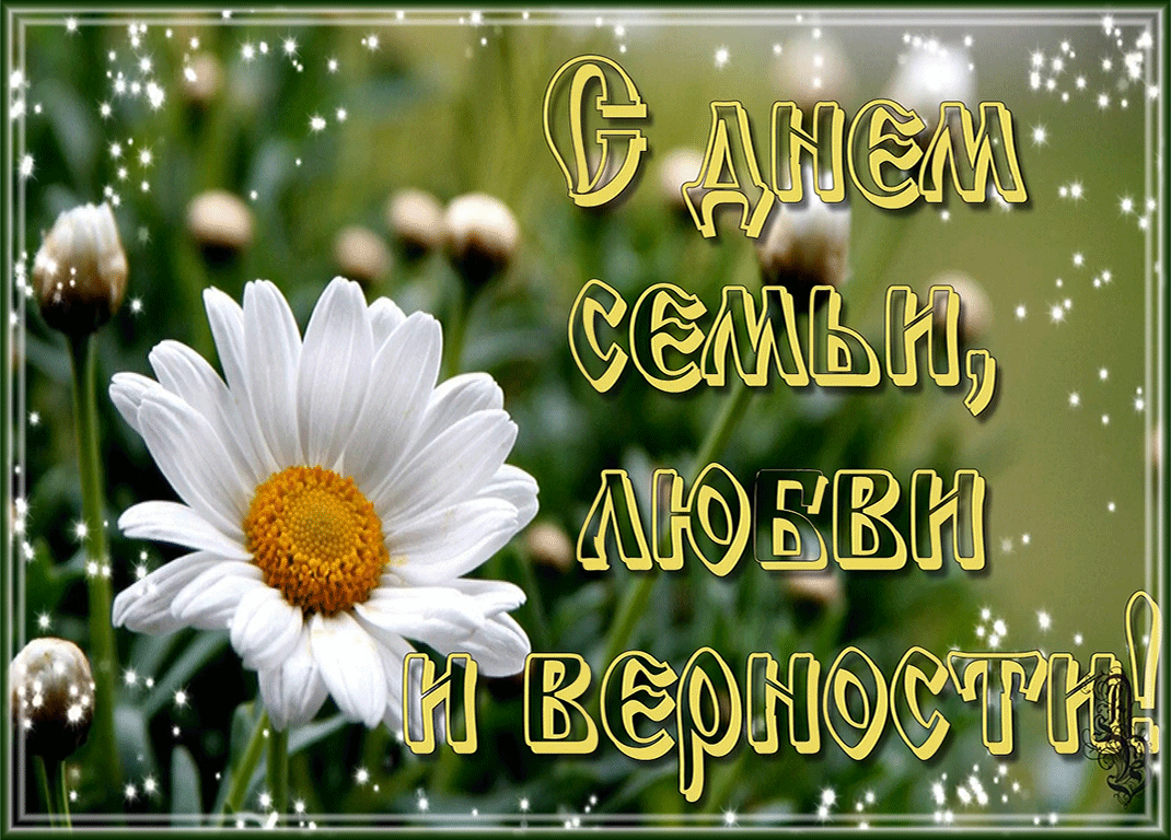 Открытка С днём семьи любви и верности - Открытка с ромашкой: С днем семьи, любви и верности | Красивая открытка #37