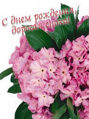 Открытка С днём рождения сноха - Открытка с розовыми гортензиями | Красивая открытка #26