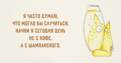 Открытка Остроумные открытки с приколами - Забавная открытка с котиком и шампанским | Красивая открытка #10