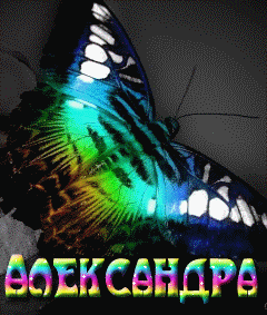 Открытка Открытки с именем Александра - Красивая бабочка: открытка с яркими красками | Красивая открытка #21
