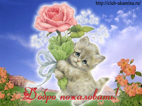 Открытка Открытки добро пожаловать - Котенок с цветами: открытка с милым котенком | Красивая открытка #139