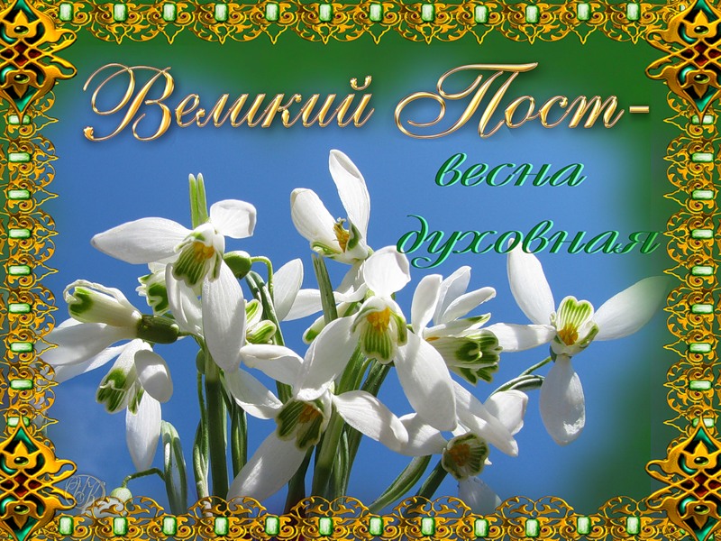 Открытка Открытки на Великий Пост - Подснежники на фоне голубого неба - весенняя открытка | Красивая открытка #79