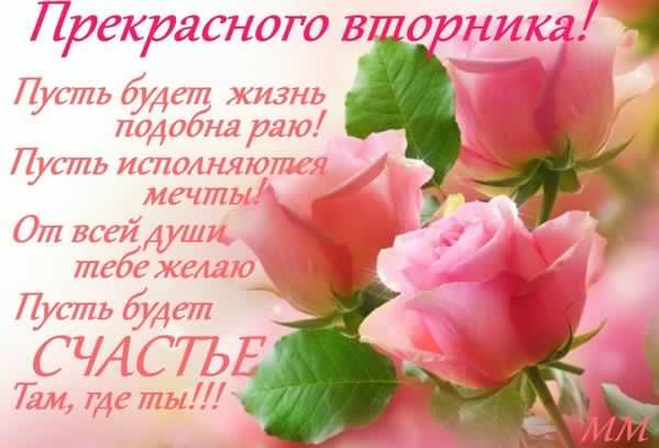 Открытка Открытки на вторник - Открытка с розами: нежные цветы на День рождения | Красивая открытка #188