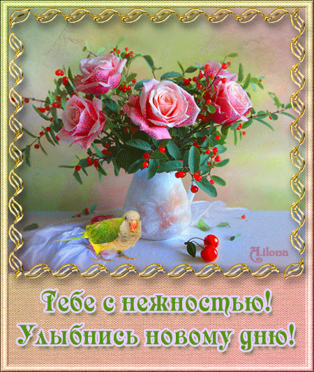 Открытка Улыбнись - Открытка: Нежные розы и попугай | Красивая открытка #277