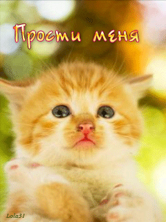 Открытка открытки с извинениями  - Милый котенок: открытка с котенком на природе | Красивая открытка #172