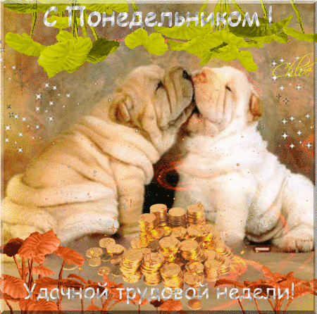 Открытка Открытки удачной недели - Открытка с щенками: милые пёсики и осенние листья | Красивая открытка #227