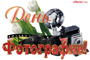 Открытка День фотографа - Открытка с цветами и фототехникой | Красивая открытка #31