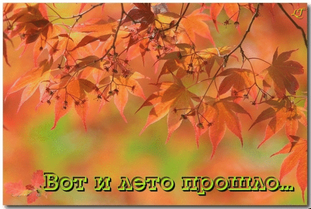 Открытка Первый день осени - Осенние листья: открытка с надписью "Вот и лето прошло..." | Красивая открытка #158