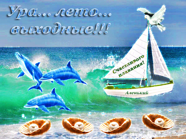 Открытка Открытки хорошего отдыха - Открытка: море, дельфины, парусник, ракушки | Красивая открытка #194
