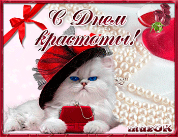Открытка Открытки с днем красоты - Открытка с котенком в шляпе | Красивая открытка #45
