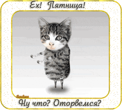 Открытка Открытки на пятницу - Забавная открытка с котенком | Красивая открытка #101