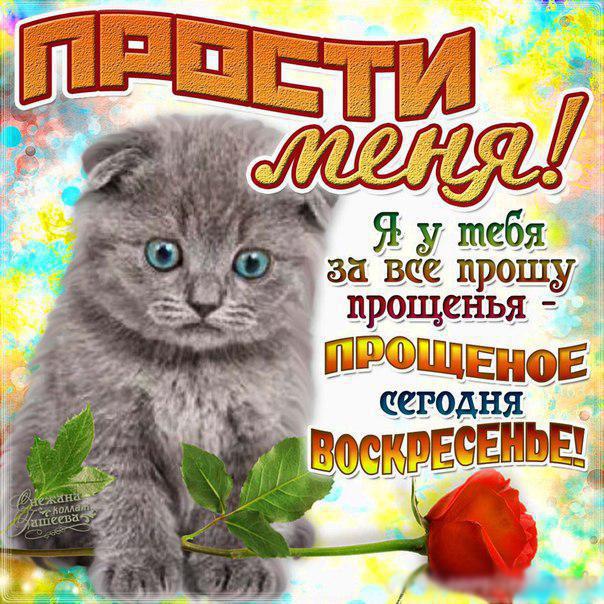 Открытка открытки на прощеное воскресенье  - Открытка "Прости меня": милый котенок и розы | Красивая открытка #27