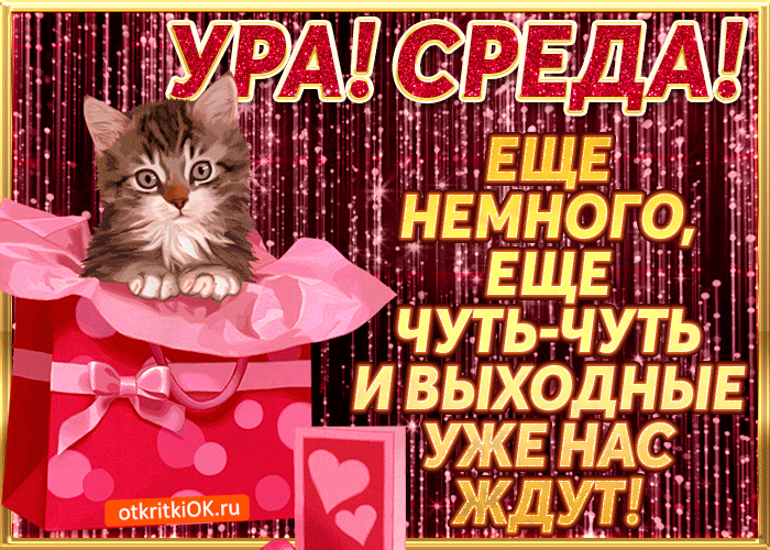 Открытка Среда - Открытка с котенком и подарком - С Днем Рождения! | Красивая открытка #22